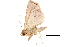  ( - BIOUG06676-C09)  @13 [ ] CreativeCommons - Attribution (2014) CBG Photography Group Centre for Biodiversity Genomics