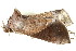  ( - BIOUG06676-D04)  @12 [ ] CreativeCommons - Attribution (2014) CBG Photography Group Centre for Biodiversity Genomics