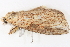 ( - BIOUG08651-B05)  @12 [ ] CreativeCommons - Attribution (2014) CBG Photography Group Centre for Biodiversity Genomics