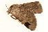  ( - BIOUG08651-G07)  @12 [ ] CreativeCommons - Attribution (2014) CBG Photography Group Centre for Biodiversity Genomics