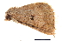  ( - BIOUG08651-H11)  @12 [ ] CreativeCommons - Attribution (2014) CBG Photography Group Centre for Biodiversity Genomics