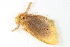  ( - BIOUG08681-G01)  @12 [ ] CreativeCommons - Attribution (2014) CBG Photography Group Centre for Biodiversity Genomics