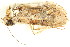  ( - BIOUG08681-H02)  @12 [ ] CreativeCommons - Attribution (2014) CBG Photography Group Centre for Biodiversity Genomics