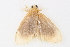  ( - BIOUG09047-F05)  @12 [ ] CreativeCommons - Attribution (2014) CBG Photography Group Centre for Biodiversity Genomics