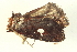  ( - BIOUG09048-B03)  @12 [ ] CreativeCommons - Attribution (2014) CBG Photography Group Centre for Biodiversity Genomics