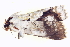  ( - BIOUG09048-E03)  @12 [ ] CreativeCommons - Attribution (2014) CBG Photography Group Centre for Biodiversity Genomics
