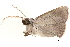  ( - BIOUG09048-H06)  @12 [ ] CreativeCommons - Attribution (2014) CBG Photography Group Centre for Biodiversity Genomics