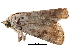  ( - BIOUG12334-H07)  @12 [ ] CreativeCommons - Attribution (2014) CBG Photography Group Centre for Biodiversity Genomics