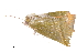  ( - BIOUG14383-A03)  @13 [ ] CreativeCommons - Attribution (2014) CBG Photography Group Centre for Biodiversity Genomics