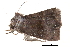  ( - BIOUG14383-B07)  @12 [ ] CreativeCommons - Attribution (2014) CBG Photography Group Centre for Biodiversity Genomics