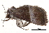  (Hypena iconicalis - BIOUG14383-B12)  @14 [ ] CreativeCommons - Attribution (2014) CBG Photography Group Centre for Biodiversity Genomics
