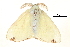  ( - BIOUG14383-G10)  @13 [ ] CreativeCommons - Attribution (2014) CBG Photography Group Centre for Biodiversity Genomics
