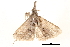  ( - BIOUG14383-H01)  @12 [ ] CreativeCommons - Attribution (2014) CBG Photography Group Centre for Biodiversity Genomics