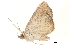  ( - BIOUG14383-H06)  @12 [ ] CreativeCommons - Attribution (2014) CBG Photography Group Centre for Biodiversity Genomics