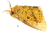  ( - BIOUG13431-B08)  @12 [ ] CreativeCommons - Attribution (2014) CBG Photography Group Centre for Biodiversity Genomics