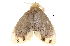  ( - BIOUG13431-C07)  @13 [ ] CreativeCommons - Attribution (2014) CBG Photography Group Centre for Biodiversity Genomics