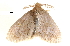  ( - BIOUG13431-D05)  @13 [ ] CreativeCommons - Attribution (2014) CBG Photography Group Centre for Biodiversity Genomics