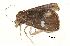  ( - BIOUG13431-G06)  @12 [ ] CreativeCommons - Attribution (2014) CBG Photography Group Centre for Biodiversity Genomics
