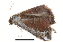  ( - BIOUG14394-D10)  @12 [ ] CreativeCommons - Attribution (2014) CBG Photography Group Centre for Biodiversity Genomics
