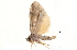  ( - BIOUG13574-E03)  @13 [ ] CreativeCommons - Attribution (2014) CBG Photography Group Centre for Biodiversity Genomics