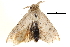  ( - BIOUG14394-C05)  @12 [ ] CreativeCommons - Attribution (2014) CBG Photography Group Centre for Biodiversity Genomics