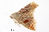  ( - BIOUG20781-D10)  @12 [ ] CreativeCommons - Attribution (2015) CBG Photography Group Centre for Biodiversity Genomics