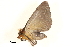  ( - BIOUG20804-C02)  @12 [ ] CreativeCommons - Attribution (2015) CBG Photography Group Centre for Biodiversity Genomics