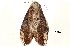  ( - BIOUG20804-E01)  @13 [ ] CreativeCommons - Attribution (2015) CBG Photography Group Centre for Biodiversity Genomics