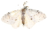  ( - BIOUG30186-E01)  @14 [ ] CreativeCommons - Attribution (2016) CBG Photography Group Centre for Biodiversity Genomics