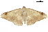  ( - BIOUG31631-A06)  @11 [ ] CreativeCommons - Attribution (2018) CBG Photography Group Centre for Biodiversity Genomics