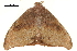  ( - BIOUG31631-B01)  @11 [ ] CreativeCommons - Attribution (2018) CBG Photography Group Centre for Biodiversity Genomics