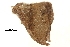  ( - BIOUG31631-B07)  @11 [ ] CreativeCommons - Attribution (2018) CBG Photography Group Centre for Biodiversity Genomics