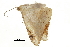  ( - BIOUG31631-C08)  @11 [ ] CreativeCommons - Attribution (2018) CBG Photography Group Centre for Biodiversity Genomics