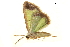  ( - BIOUG31631-C10)  @12 [ ] CreativeCommons - Attribution (2018) CBG Photography Group Centre for Biodiversity Genomics