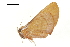  ( - BIOUG31631-E11)  @11 [ ] CreativeCommons - Attribution (2018) CBG Photography Group Centre for Biodiversity Genomics