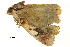  ( - BIOUG31631-F08)  @12 [ ] CreativeCommons - Attribution (2018) CBG Photography Group Centre for Biodiversity Genomics