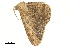  ( - BIOUG31631-H04)  @11 [ ] CreativeCommons - Attribution (2018) CBG Photography Group Centre for Biodiversity Genomics