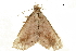  ( - BIOUG31631-H09)  @11 [ ] CreativeCommons - Attribution (2018) CBG Photography Group Centre for Biodiversity Genomics