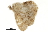  ( - BIOUG31791-A07)  @13 [ ] CreativeCommons - Attribution (2018) CBG Photography Group Centre for Biodiversity Genomics