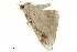  ( - BIOUG31791-A12)  @11 [ ] CreativeCommons - Attribution (2018) CBG Photography Group Centre for Biodiversity Genomics