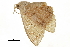  ( - BIOUG31791-D04)  @11 [ ] CreativeCommons - Attribution (2018) CBG Photography Group Centre for Biodiversity Genomics