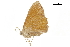  ( - BIOUG31791-D05)  @11 [ ] CreativeCommons - Attribution (2018) CBG Photography Group Centre for Biodiversity Genomics