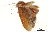  ( - BIOUG31791-E01)  @11 [ ] CreativeCommons - Attribution (2018) CBG Photography Group Centre for Biodiversity Genomics