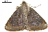 ( - BIOUG31791-G02)  @13 [ ] CreativeCommons - Attribution (2018) CBG Photography Group Centre for Biodiversity Genomics