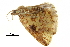  ( - BIOUG31791-G03)  @11 [ ] CreativeCommons - Attribution (2018) CBG Photography Group Centre for Biodiversity Genomics