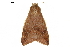  ( - BIOUG31791-H02)  @11 [ ] CreativeCommons - Attribution (2018) CBG Photography Group Centre for Biodiversity Genomics
