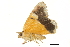  ( - BIOUG31846-A12)  @12 [ ] CreativeCommons - Attribution (2018) CBG Photography Group Centre for Biodiversity Genomics