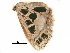  ( - BIOUG32020-C08)  @13 [ ] CreativeCommons - Attribution (2017) CBG Photography Group Centre for Biodiversity Genomics