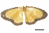  ( - BIOUG36914-B08)  @11 [ ] CreativeCommons - Attribution (2018) CBG Photography Group Centre for Biodiversity Genomics