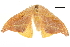  ( - BIOUG36917-C11)  @12 [ ] CreativeCommons - Attribution (2018) CBG Photography Group Centre for Biodiversity Genomics